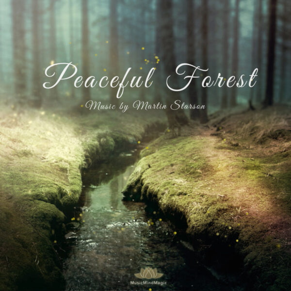 Peaceful forest and river flowing - Piano & Nature Sounds
